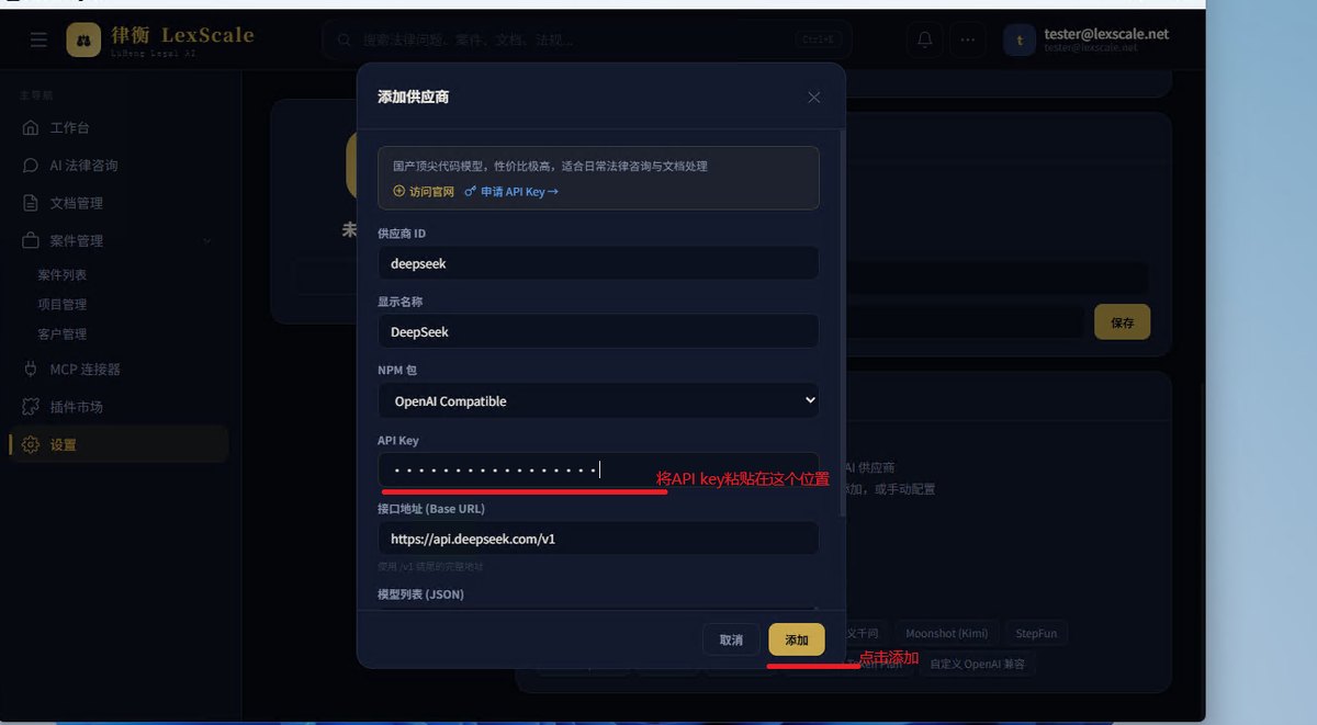 粘贴 API key